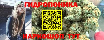 гидропоника Ливны