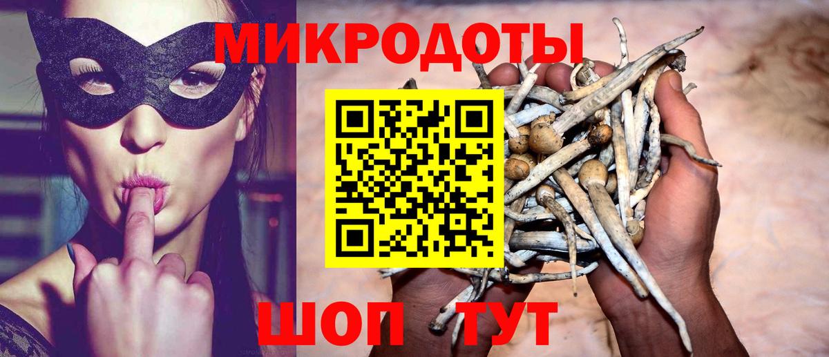 Галлюциногенные грибы Psilocybine cubensis  Вход с VPN  Воскресенск 