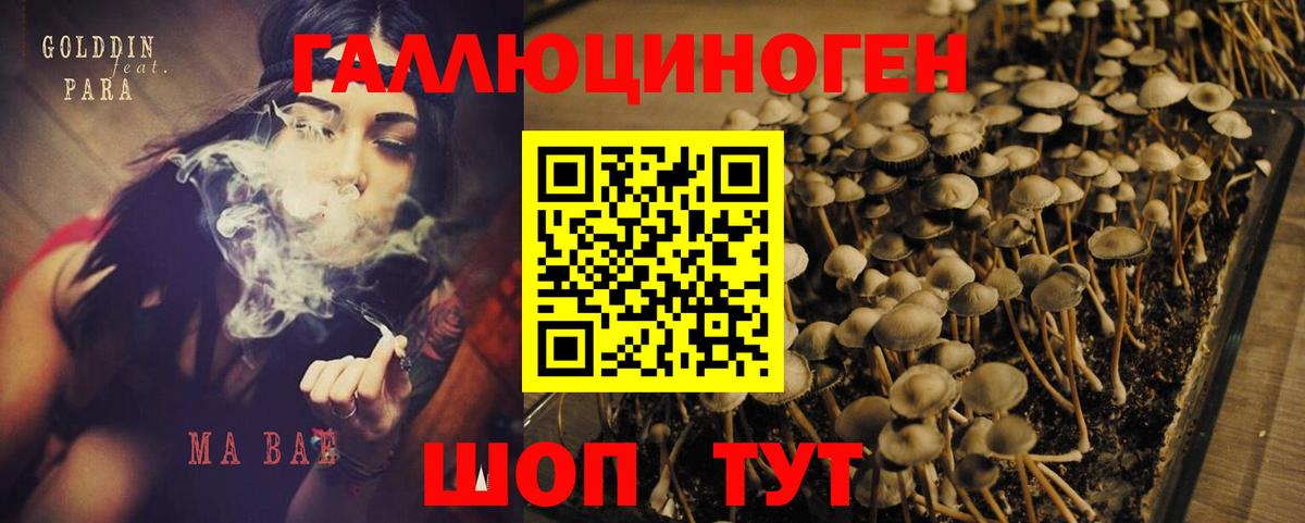 Галлюциногенные грибы MAGIC MUSHROOMS Воскресенск